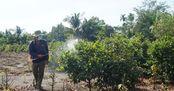 1278213ngay712023benluctrongmaivangchothunhapkinhtecaohinh116104107 1687959458903 16879594591801666926658 0 0 535 1022 crop 1687959699746609835843