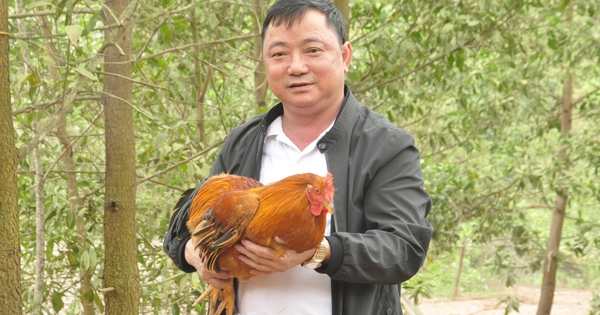 39 2 16868843012791076696443 0 0 1250 2000 crop 16868843249601851510376