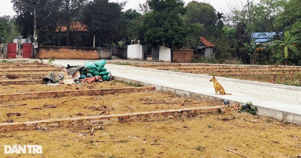 5 edited 1677508153153 crop 1687055695444