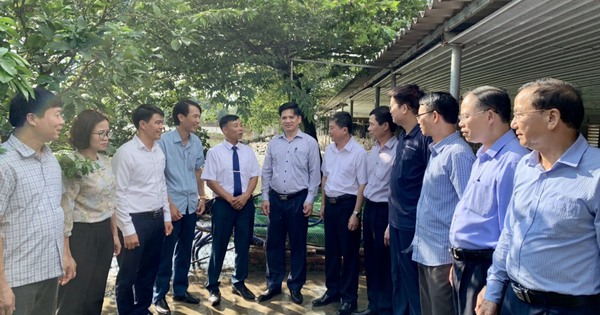 Một nông dân Bắc Giang bán gì cho Samsung, lãi lớn mà lại nhàn? 1 anh 2 1 2 1685955848034106989764 101 0 899 1276 crop 1685955896410534014733