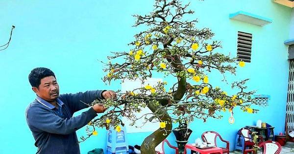 anh trieu the hiep cam soc mai xuananh xuan thuc 1687240784716 1687240785007599420352 376 0 814 836 crop 1687241391372569528478