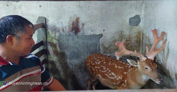 avatar1687521444674 16875214449501181768850