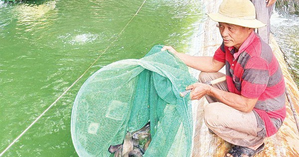 avatar1687521856660 1687521856913304654733