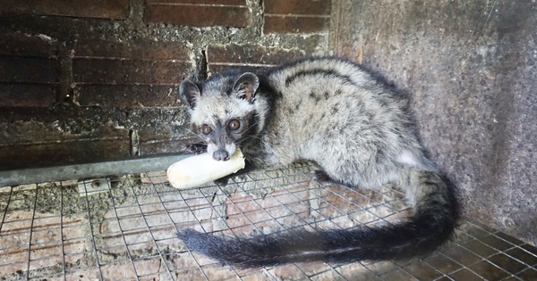 hinh 3 1687514730026626180625 293 0 1340 2000 crop 16875149479451241985298