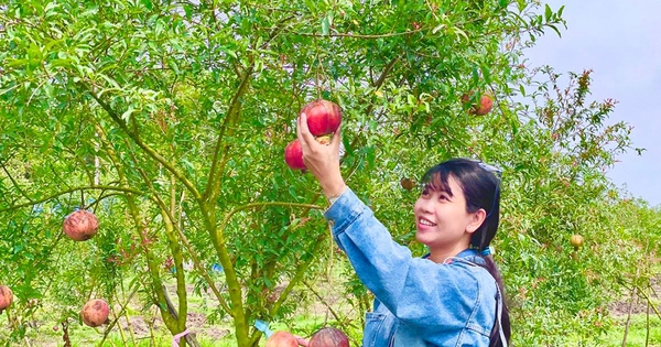 received155920340746751 min 1687540260871 1687540261030524494455 79 0 603 1000 crop 1687540429055330781030