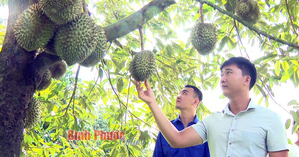 sauriengneuthuhoachsomsekhongdambaochatluongmuivadodinhduong15371709062023 1687322543806 16873225441061204714423 0 0 1047 2000 crop 16873229697451184692340