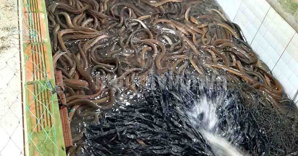 t920copy 1687426694486 1687426694785403990365 66 0 569 960 crop 16874268830471297299743