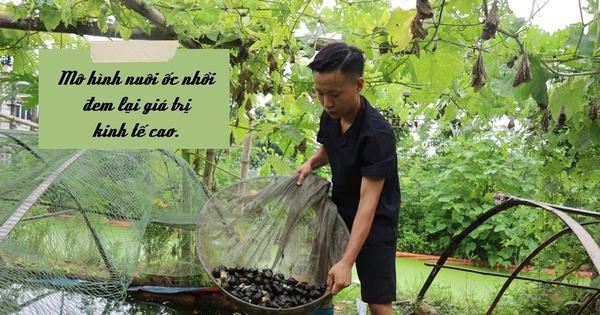 2 7474 1690043958919 1690043960386760644353 0 0 408 780 crop 16900442017061604700120