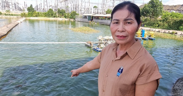 Nuôi cá, tung thức ăn thấy bơi rào rào, bắt bán hàng tấn, chị nông dân Ninh Bình giàu hẳn lên 1 20230530153822 16884705398061242531236 209 0 1256 2000 crop 16884712478731810374283