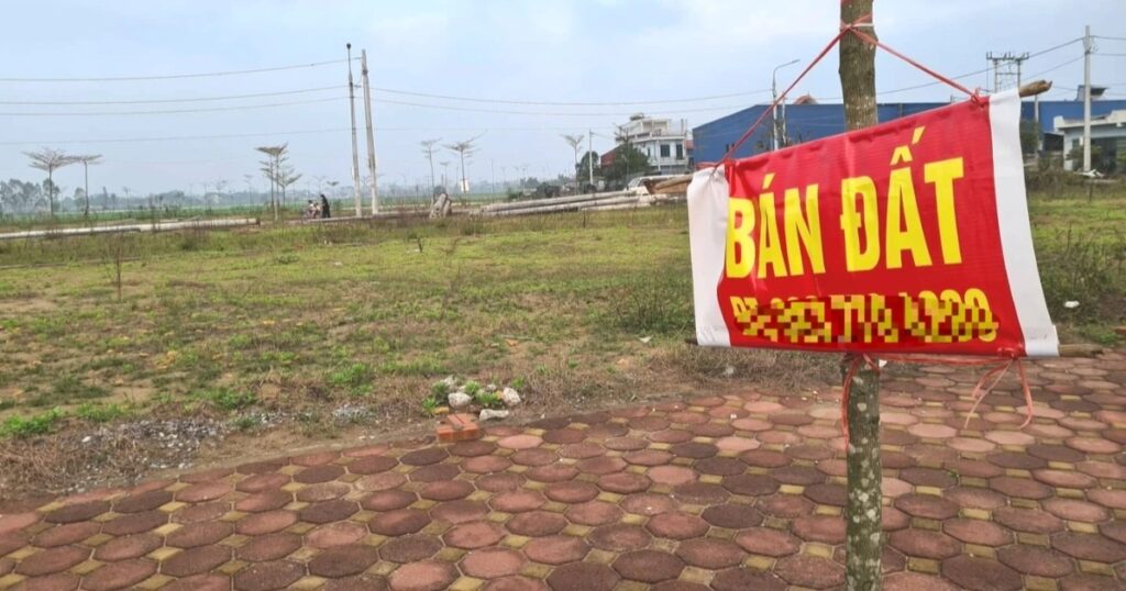 2925750924606021420782623964745327737630594n edited 1670726395652 edited crop 1690086813836