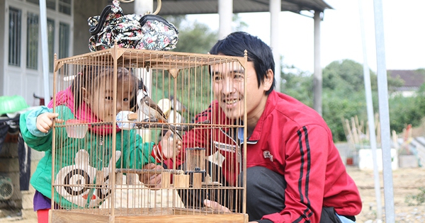 Một anh trai làng ở Quảng Trị nuôi thứ chim chào mào bé hơn nắm tay mà nổi tiếng, giàu hẳn lên 1 48d5095557t127036l1 1690690413688 16906904140101696492519 88 0 507 800 crop 1690690645371579066857