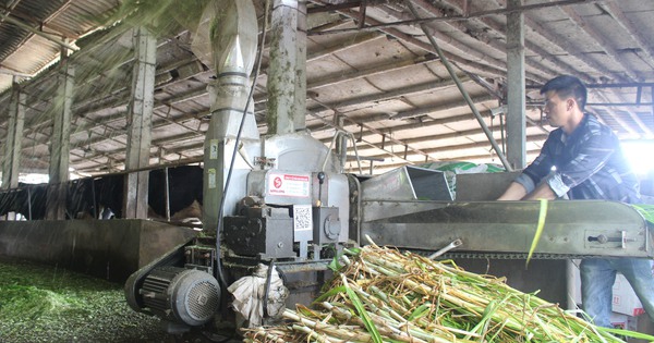 a2 1689842800893198118734 83 0 1333 2000 crop 16898431831201976981110