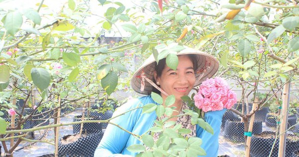 Vườn trồng hoa hồng cổ Sa Pa của cô nông dân tay ngang ở Đồng Nai, ai vô đều mê lắm rồi 1 a677fcbbdd3e178fba3a5e27f4a4a2f3 2023 02 0210 39 31 1689075952723 1689075953076423451715 38 0 457 800 crop 1689076267140590808696