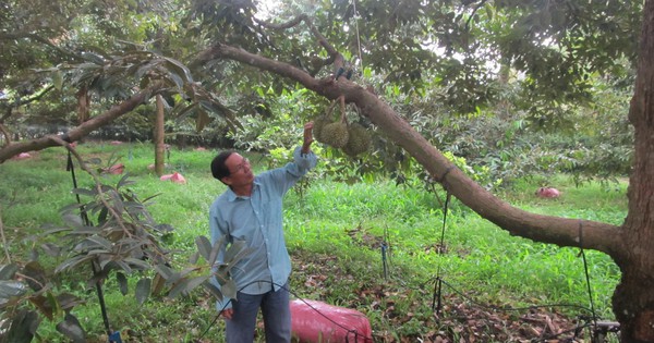 anh tr7 quy htnd 168984292976672690670 193 0 1443 2000 crop 1689842970105392051614