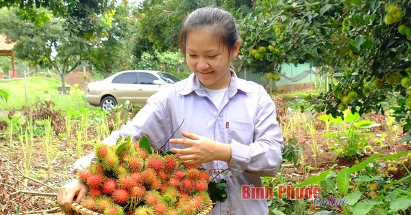 anh710505021072023 1690117115939 16901171160211564119142 0 0 1047 2000 crop 16901172130001296261053