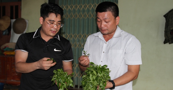 img1483 1689045110632831521439 88 0 1135 2000 crop 1689045814526228717345