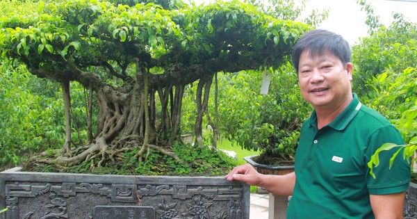 anh 1 1692977130403499419643 0 0 1250 2000 crop 1692977975121738133438