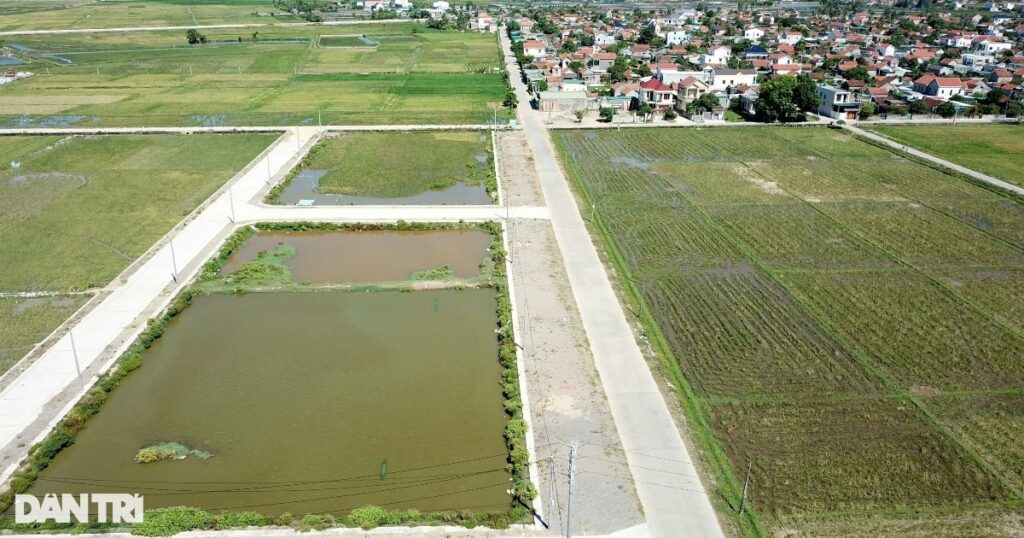 Phê bình kế toán xã trong vụ em trai phó chủ tịch huyện trúng 23 lô đất 1 can canh23 lo datquynh hungquynh luunghe an crop 1692937875010