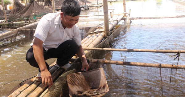 hoi nong dan nam dinh 1694918852695850497593 91 0 1138 2000 crop 16949192542131066947977