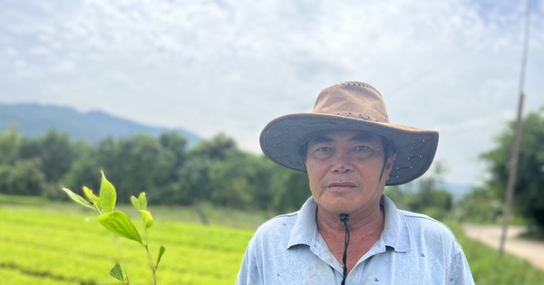 Ươm trồng 2,1 triệu cây giống lâm nghiệp, một người Bình Định là Nông dân Việt Nam xuất sắc 1 152c255b 940a 4419 aaa6 9fc6a744d693 16959687235341151647209 0 0 1048 2000 crop 16959807411091898042478