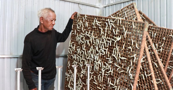 Người Hang Hớt ở Lâm Đồng thoát cảnh làm thuê, nhiều nhà khá giả nhờ nuôi một con vật chỉ gặm lá 1 anh so ldtbxh lam dong 16968485488931205273941 0 0 1192 1907 crop 1696848572203154325604