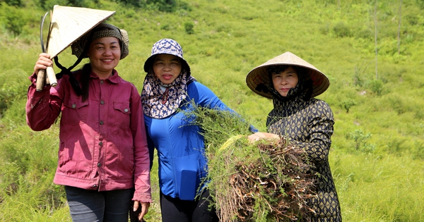 duong 19 16977975880771876110549 286 0 1333 1999 crop 1697797631130448947704