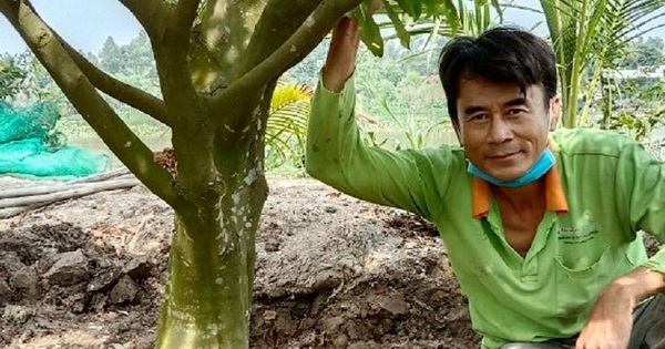 3 16988044730482091595490 60 0 479 800 crop 16988050968421808526296