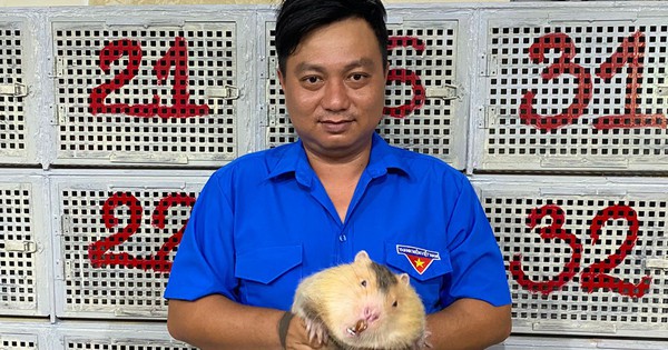 nuoi dui con dui thuc an cua con dui 1698832232722389719674 76 0 612 1024 crop 1698832316665154489064