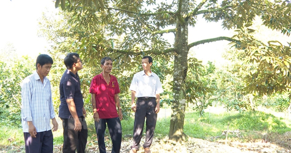 sau rieng 1698771604425 1698771605237746592978 0 0 419 800 crop 169877178616245990488