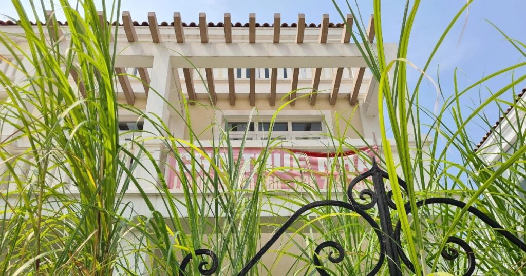 z3660878555083b3cb0ba7a6465b168d11868a28c889f1 crop 1698590938075