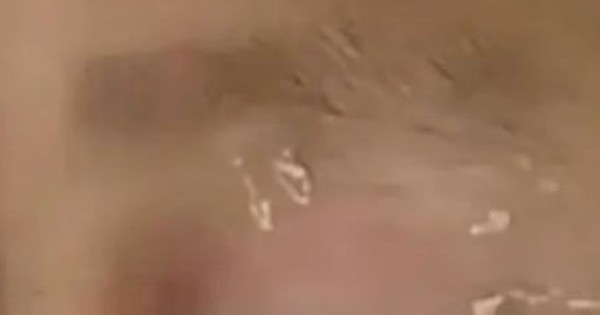 avatar1702628331317 1702628331596324802593 0 69 272 504 crop 1702687087571517013377