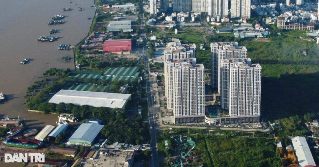 anh minh hoa 2 edited edited crop 1707464067647