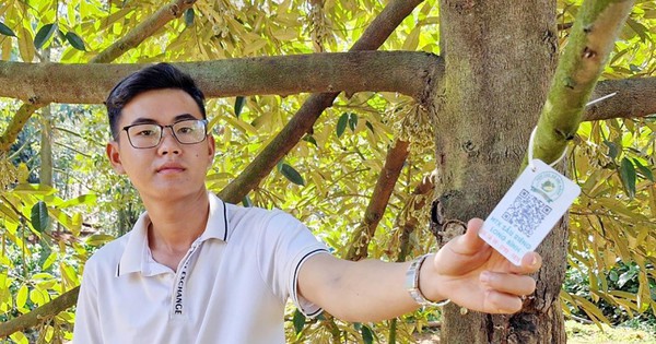 binh phuoc 17089287029791935176152 6 424 812 1714 crop 17089293609721616345085