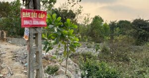 z4125815684905a082a883e6e34cee570377c615bdae32 1 edited crop 1708053735364