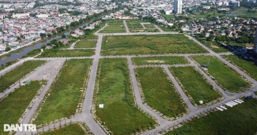 dau gia datthanh hoa2 edited crop 1709525890903