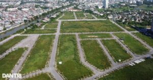 dau gia datthanh hoa2 edited crop 1709525890903