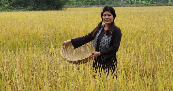 Chị đẹp Long An mang loại gạo ngon nhất thế giới về quê hương, biến cám gạo thành loại thực phẩm đắt hàng 1 gao ngon 1710399630967377239459 101 0 729 1200 crop 1710399646597361451621