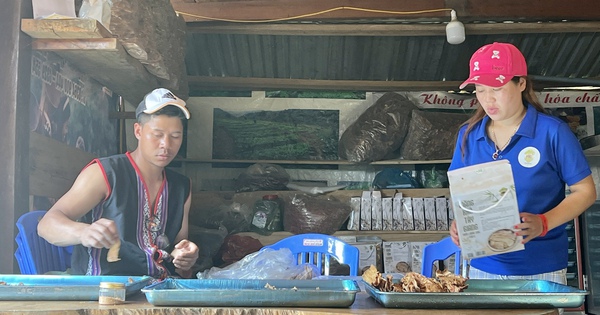 Chị đẹp Cơ Tu lập hợp tác xã, mang đặc sản núi rừng Quảng Nam xuống phố 1 hinh 5 1710514196299825993865 465 0 1805 2560 crop 1710515249230561652289