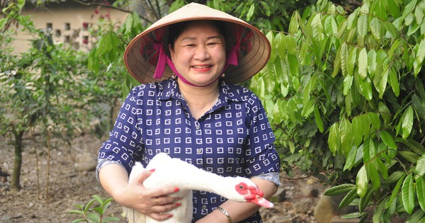 ngan sao dai binh ngan sao dam ha quang ninh 13 1710347257613188384773 139 0 1479 2560 crop 17103891272261304893674