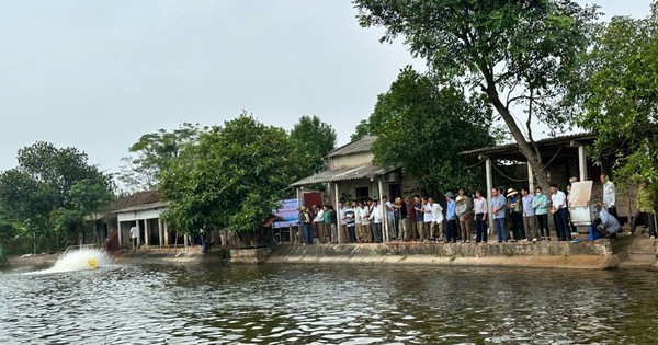 Ở Bắc Giang, nuôi cá rô phi đơn tính kiểu gì mà con nào cũng khỏe, thịt ngon, nhiều người đến xem? 1 nh20te1baa1i20thc3b4n20ne1bb99i2c20xc3a320nge1bb8dc20thie1bb87n2c20huye1bb87n20tc3a2n20yc3aan 1710074047717 171007404799815 109 0 646 1025 crop 1710074241604267734844