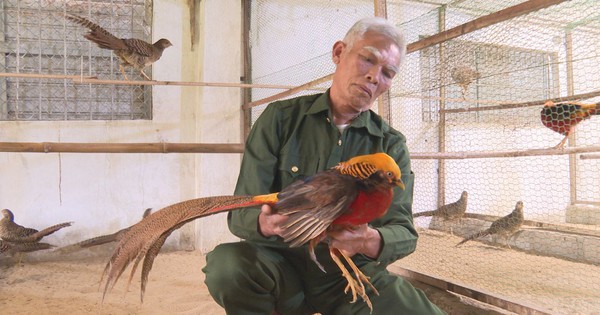 17113307028048 1712492397226 1712492397302497382124 28 0 1033 1920 crop 17124926728541199473596