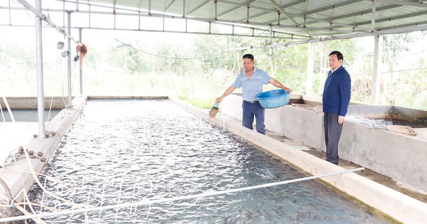 2409314209042024 1713373101990 1713373102452984544534 0 0 1047 2000 crop 1713373310625105582912