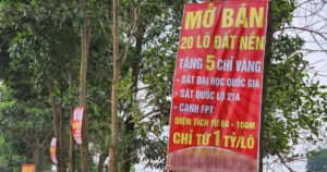 4345170942708660789309535630529812622715319n crop 1712715696059