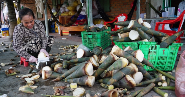 avatar1712123587398 1712123587978427816246