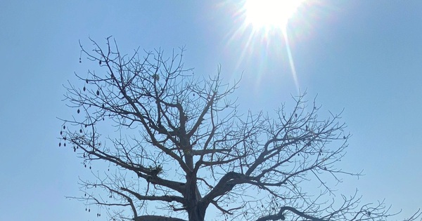 avatar1713695853821 1713695854096909716961