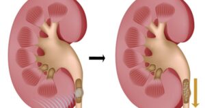 avatar1714036947531 1714036947777130391346