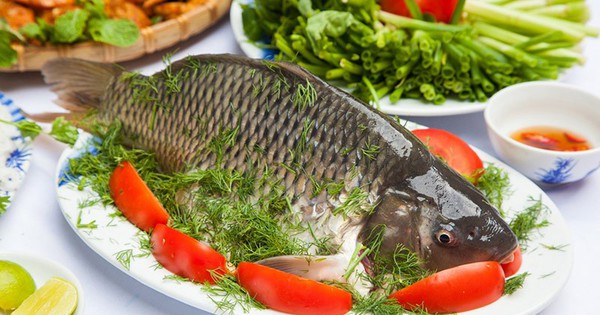 'Giật mình' với công dụng của loài cá phổ biến trên thế giới mà không phải ai cũng biết 1 ca chep gion 2 17125648385721528413396 0 0 500 800 crop 1712564842640479705976