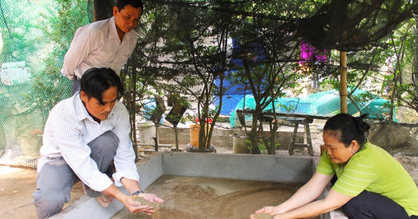 Nuôi loài sâu này ở Bến Tre, nông dân làm sạch nhà lại có thêm thu nhập tốt 1 cat 1713374480718 17133744810341721292766 18 0 437 800 crop 17133748316722078982864