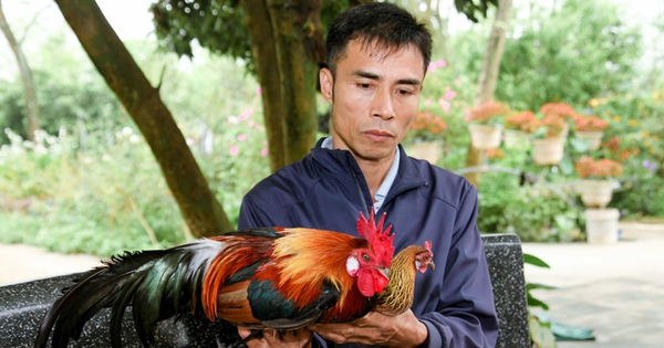 ngay1642024anhsygatrang 1713545091167 1713545091311731923912 0 0 455 870 crop 1713545841345710976980