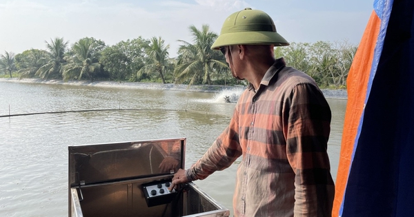 nuoi ca tram den 1714363375922139631450 79 0 602 998 crop 1714363629691793785781